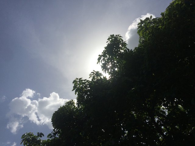 IMG-4985.JPG